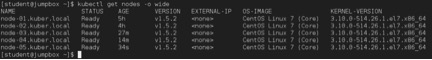 k8s-get-nodes-all k8s-get-nodes-all