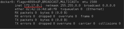 k8s-ifconfig-1 k8s-ifconfig-1