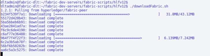 hyperledger-22 hyperledger-22